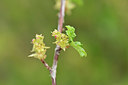 BUITEN BEELD Foto: 342369