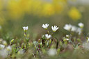 BUITEN BEELD Foto: 342375