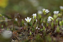 BUITEN BEELD Foto: 342376