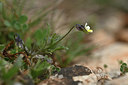 BUITEN BEELD Foto: 342380