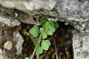 BUITEN BEELD Foto: 342386