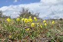 BUITEN BEELD Foto: 342407