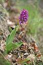 BUITEN BEELD Foto: 342439