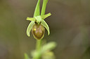BUITEN BEELD Foto: 342444