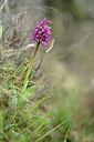 BUITEN BEELD Foto: 342450