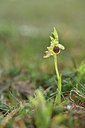 BUITEN BEELD Foto: 342459