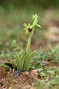 BUITEN BEELD Foto: 342460