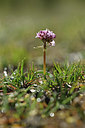 BUITEN BEELD Foto: 342468