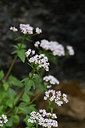 BUITEN BEELD Foto: 342469