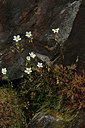 BUITEN BEELD Foto: 342474