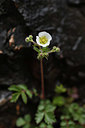 BUITEN BEELD Foto: 342480