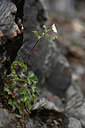 BUITEN BEELD Foto: 342481