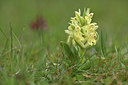 BUITEN BEELD Foto: 342485