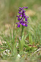 BUITEN BEELD Foto: 342501