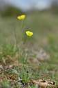 BUITEN BEELD Foto: 342502