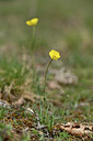 BUITEN BEELD Foto: 342504
