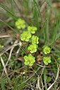 BUITEN BEELD Foto: 342505