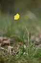 BUITEN BEELD Foto: 342507