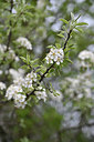 BUITEN BEELD Foto: 342524