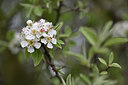 BUITEN BEELD Foto: 342525