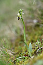 BUITEN BEELD Foto: 342540