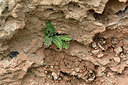 BUITEN BEELD Foto: 342545