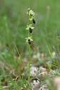 BUITEN BEELD Foto: 342557