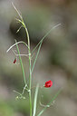 BUITEN BEELD Foto: 342559