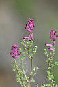 BUITEN BEELD Foto: 342564