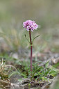BUITEN BEELD Foto: 342572