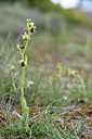 BUITEN BEELD Foto: 342575