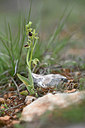BUITEN BEELD Foto: 342577