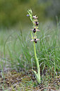 BUITEN BEELD Foto: 342604