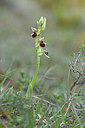 BUITEN BEELD Foto: 342608