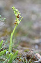 BUITEN BEELD Foto: 342609