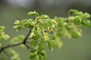 BUITEN BEELD Foto: 342616