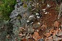 BUITEN BEELD Foto: 342624