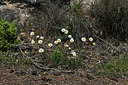 BUITEN BEELD Foto: 342633