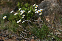 BUITEN BEELD Foto: 342634