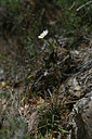 BUITEN BEELD Foto: 342635