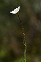 BUITEN BEELD Foto: 342638