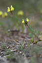 BUITEN BEELD Foto: 342641