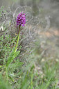 BUITEN BEELD Foto: 342644