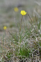 BUITEN BEELD Foto: 342660