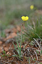 BUITEN BEELD Foto: 342662