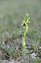 BUITEN BEELD Foto: 342675