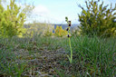 BUITEN BEELD Foto: 342689