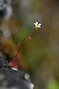 BUITEN BEELD Foto: 342701