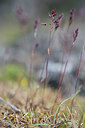 BUITEN BEELD Foto: 342702