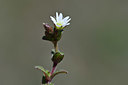 BUITEN BEELD Foto: 342708